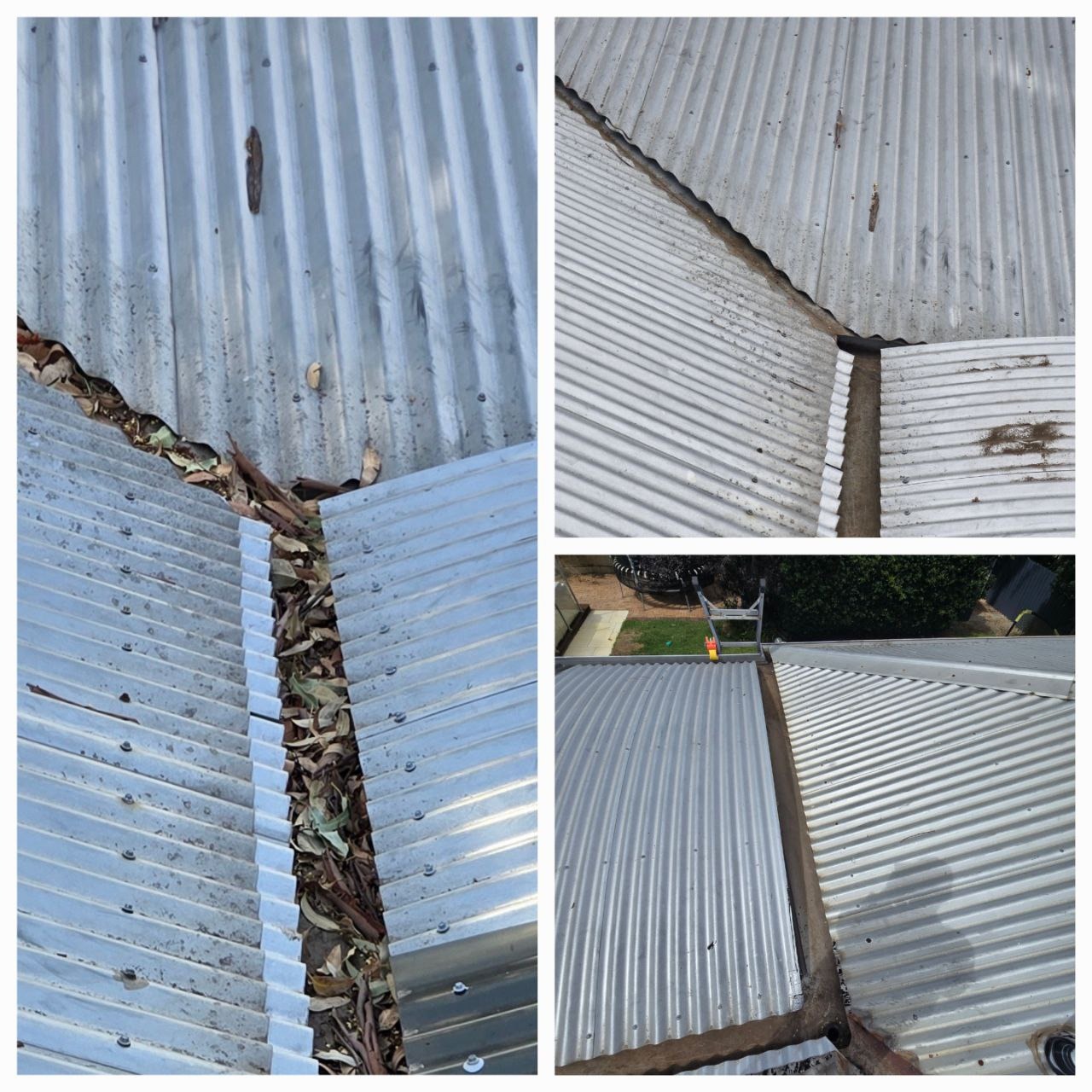 Before and After 1