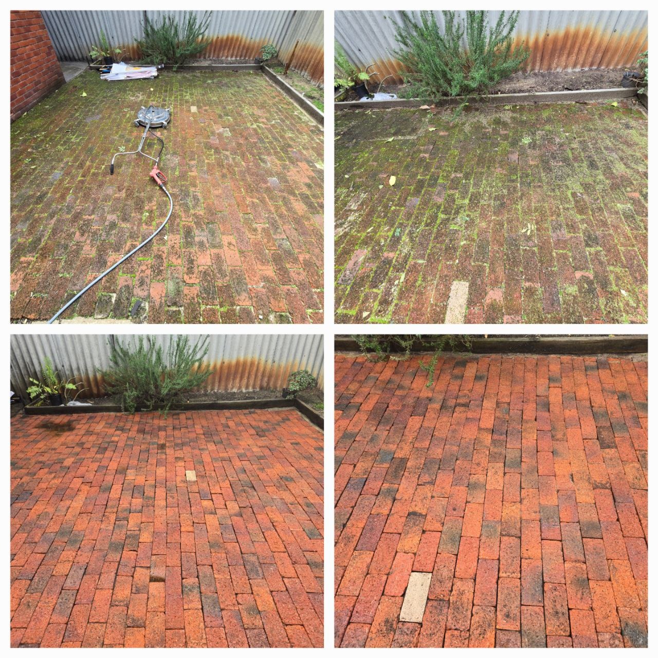 Before and After 6