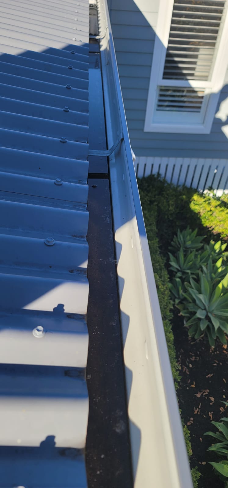 Roof & Gutter Cleaning